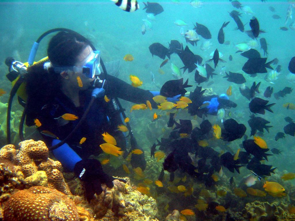 Paradise Island Park & Beach Resort Samal Eksteriør billede